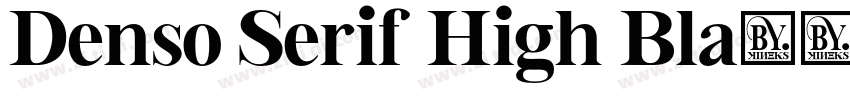Denso Serif High Bla字体转换